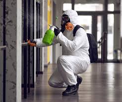  , USA Mold Removal & Remediation Pros